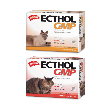Ecthol GMP Gatos