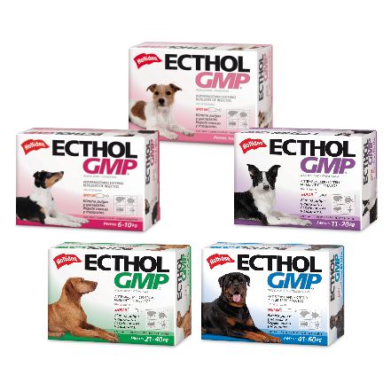 Ecthol GMP Perros