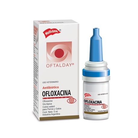 Ofloxacina Oftalday